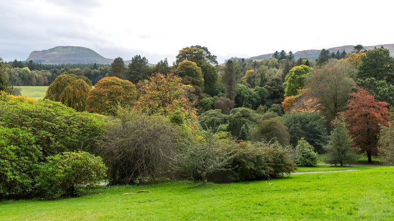 Views of the parkland with Benaughlin mountain rising in the background at Florence Court, County Fermanagh